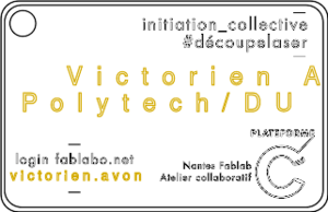 Badge victorien avon.svg